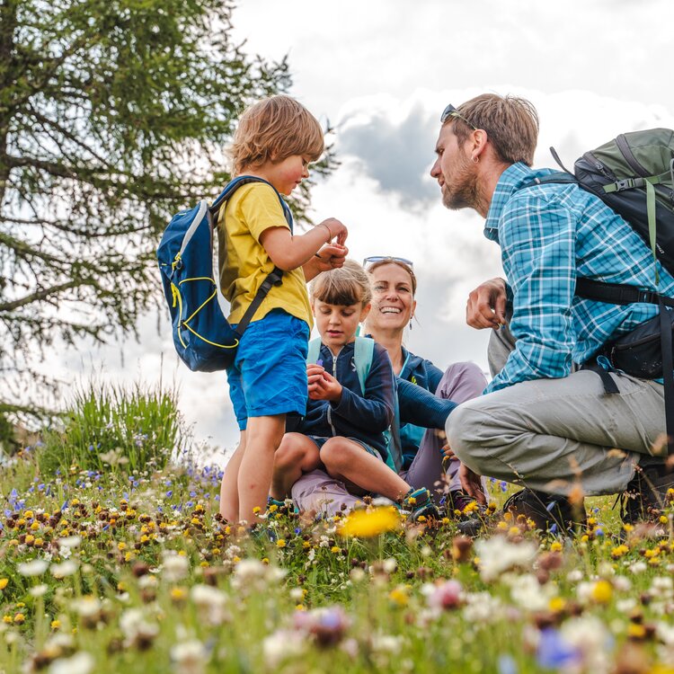 Famiglia gioca felice in un prato fiorito in Val di Fassa | © Patricia Ramirez - Archivio Immagini ApT Val di Fassa