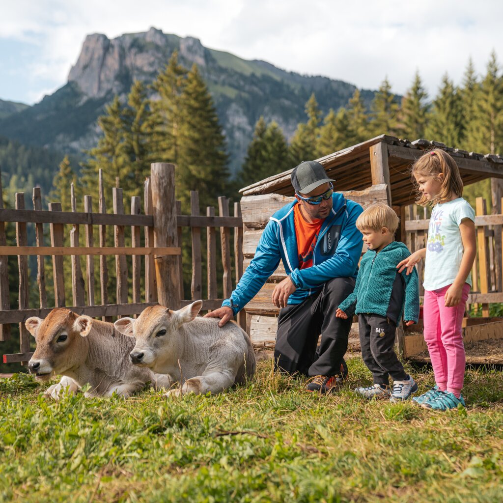 Was Man Als Familie Unternehmen Kann