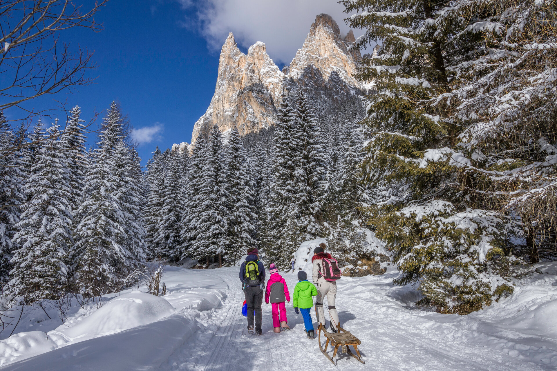 Slittino in Val di Fassa | © Patricia Ramirez  - Archivio Immagini ApT Val di Fassa