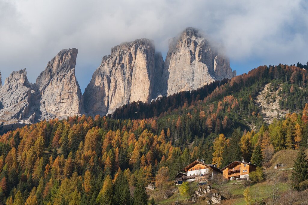 Bosco dai colori autunnali a campitello di fassa | © Archivio immagini ApT Val di Fassa - Patricia Ramriez 