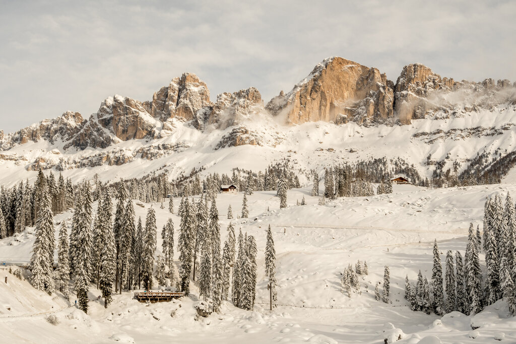 AdobeStock 408574083 Res